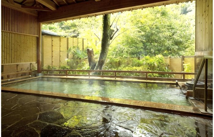 Akame Onsen Hidden Hot Spring Taisenkaku