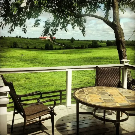 World Class Horse Farm Minutes To Keeneland, Bluegrass Airport, Bourbon Trail