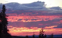 Experience True Alaska Secluded Cabin Just 15 Miles from Denali National Park.