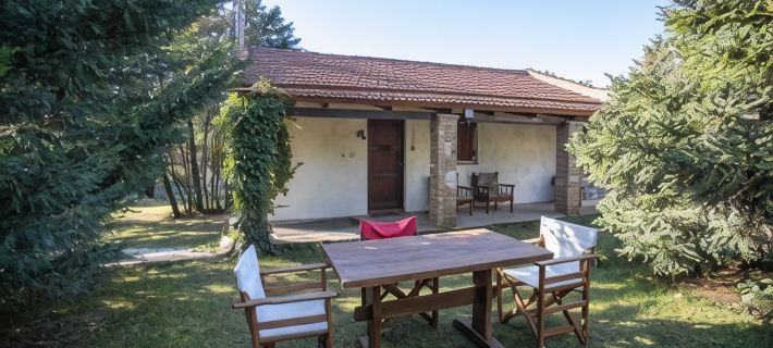 Raise Polydrosos Mountain Stay Hotels in Fokis