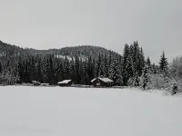 Cottage in the forest - 2-Star