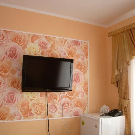Virsaviya Mini Hotel Отели в г. Муром