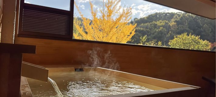 Hotel Sunbird Hotels in Minakami