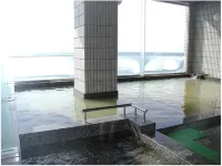 Maruha Shokudou Ryokan Minamichita Toyohama Honten - Suối nước nóng