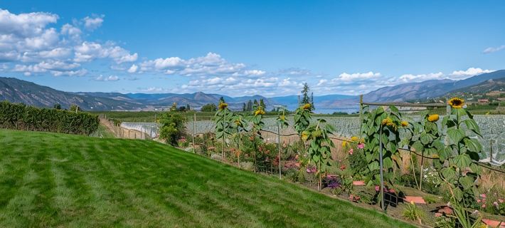 Grand Vineyard Estate Home Exceptional Place Best Location in Penticton Hotels in Penticton