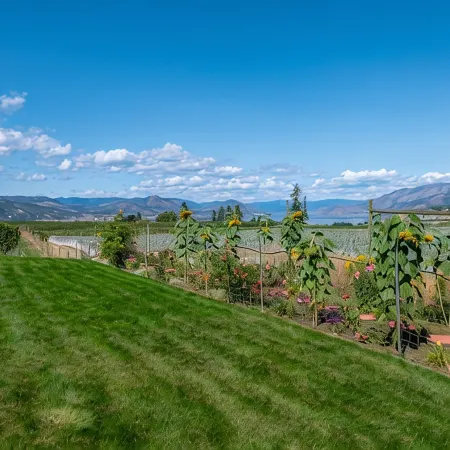 Grand Vineyard Estate Home Exceptional Place Best Location in Penticton