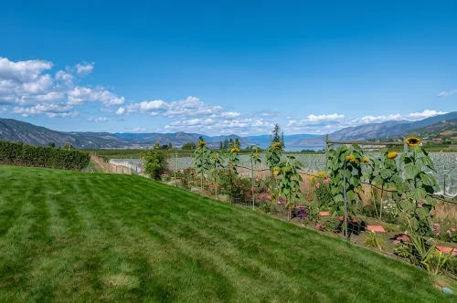 Grand Vineyard Estate Home Exceptional Place Best Location in Penticton - Gym