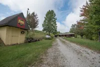 Climb On Inn-RRG- 3BD & 2BA - Outdoor Adventure Paradise- Pet Friendly -Cozy - 홈스테이