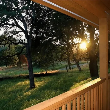 Trabucco Gardens - Yosemite Gold Country Stargazing Retreat!