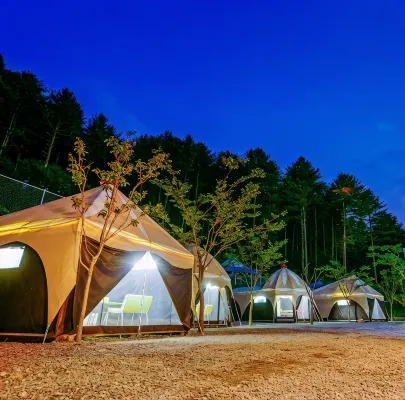 Gapyeong Animal Caravan Pension - سبا
