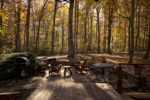 Designer 1880s Log Cabin - 2 Private King Suites - Walk to Mentone - Chalets