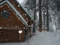 Exquisite 3-bedroom mountain home, steps to Lake Arrowhead Village and lakefront - Gym