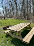 Quaint Cabin #1 - Pymatuning Lake - Alphydda
