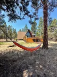 NEW ! Majestic A-Frame on 5 acres! - Chalets