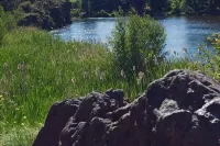 Hillside Haven: Tranquil NW Studio Near the River - Boutique