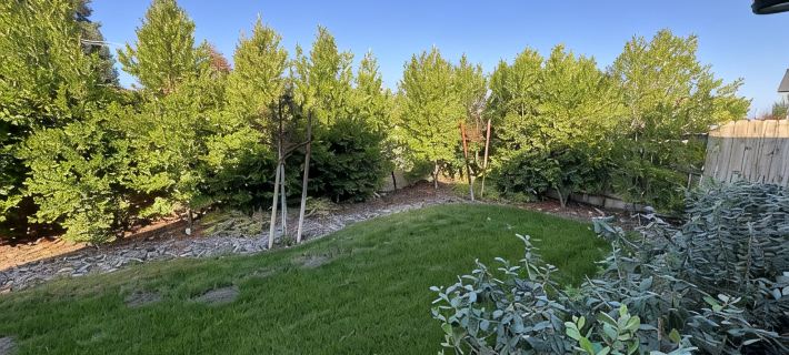 New 4B Home / Sequoia, EV, +More Hotéis em Visalia