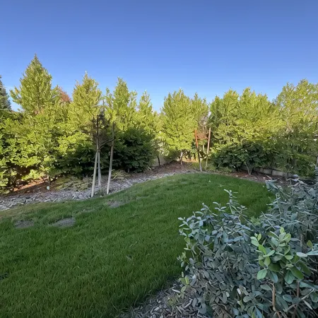 New 4B Home / Sequoia, EV, +More