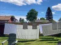 Relax at Cedar Cottage while enjoying your Ely adventure! - 3-Star