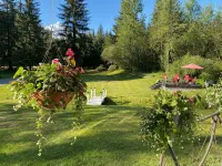 Secluded and beautiful Mendenhall Valley retreat just 2.8 miles from the glacier - gimnasio