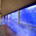 Hotel Sun Hatoya - Kolam Renang
