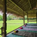 Ahsa Farmstay - con vista montagne