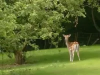 The Barn at Woodview Hotels in Tonbridge