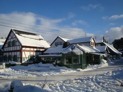 Waldhotel Bächlein Hotels in Neustadt