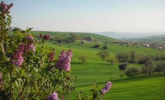 Casa Claudia Appartamento Non Condiviso