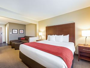 Comfort Inn Onalaska - la Crosse Area