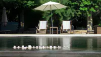 Bed and Breakfast la Grande Lauzade Hotels in Le Cannet-des-Maures