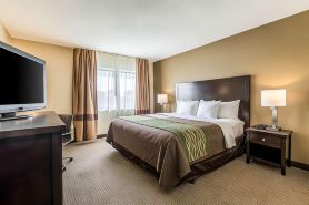 Comfort Inn Downtown