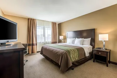 Comfort Inn Downtown Отели в г. Детройт