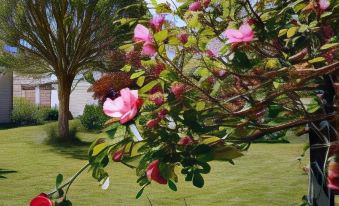 Rose Garden Bayeux