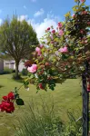 Rose Garden Bayeux Hotels in Port-en-Bessin-Huppain