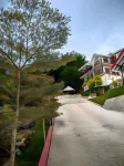 Kundasang Mount Garden