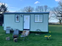 Starry Meadow & Rescued Animal Experiences