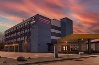 Comfort Inn & Suites - Pet friendly