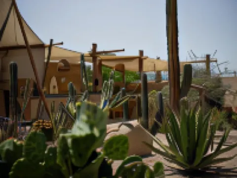 Baja Temple Hoteles en Todos Santos