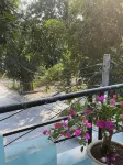 Tam Coc Sunset Homestay Hotels in Yen Mo District
