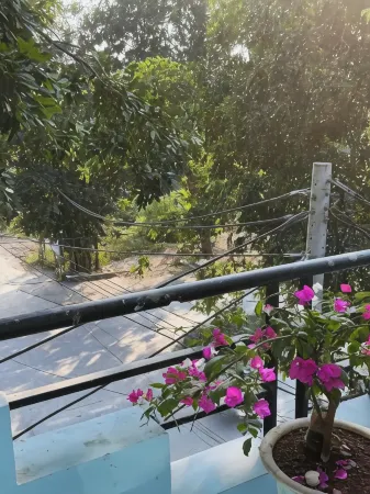 Tam Coc Sunset Homestay Отели в г. Hoa Lu District