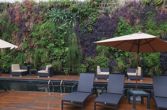 Novotel Buenos Aires Hotels in Buenos Aires