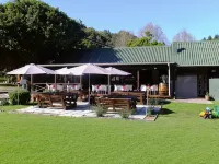 Blackwaters River Lodge, Knysna