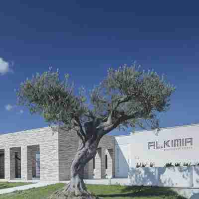 Alkimia Boutique Hotel Hotel Exterior