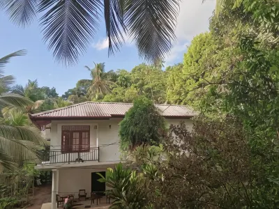 Jungle Village Homestay  호텔