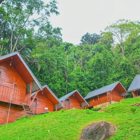 Sinharaja Forest Gate