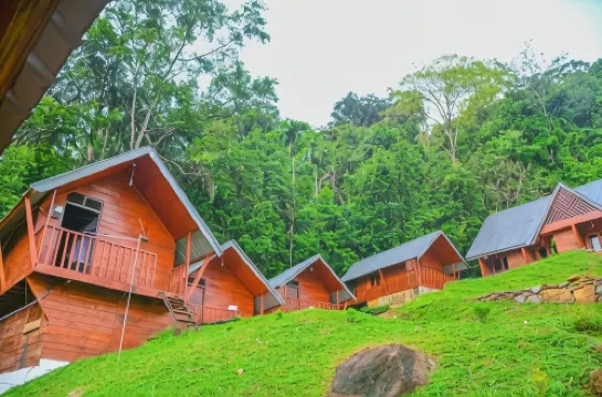 辛哈拉加森林之門