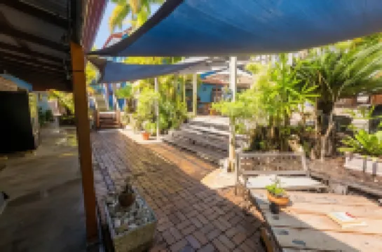 Cool Bananas Backpackers Hotel a 