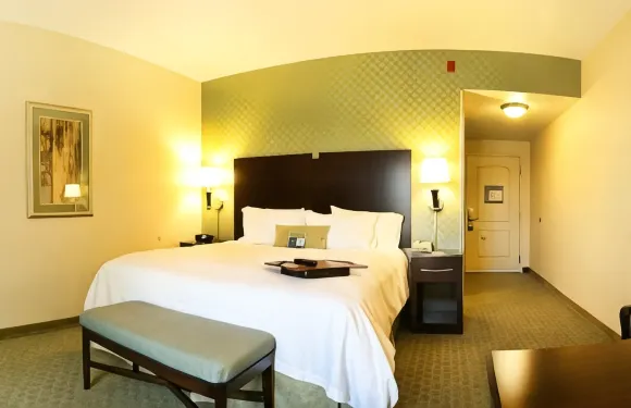 希爾頓歡朋酒店-布倫特伍德