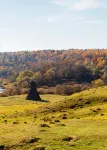 Nikola-Lenivets Recreation Camp - Pet friendly