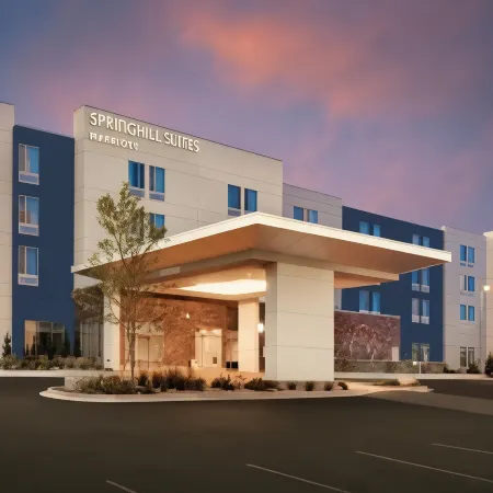 SpringHill Suites Idaho Falls Отели рядом с достопримечательностью «Giant Eagle Waterfall Nest»